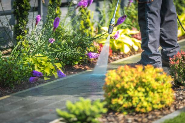 Best Gutter Cleaning  in Winter Park, FL