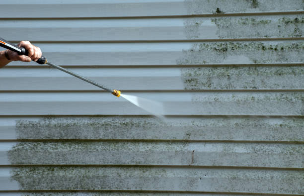 Best Patio and Deck Pressure Washing  in Winter Park, FL